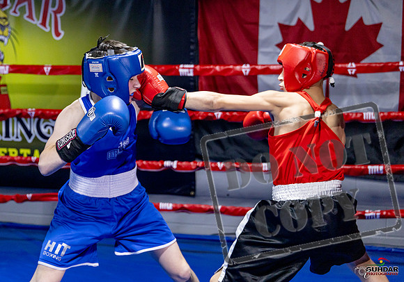 Cougar Boxing Basement Brawl. Dec 6 2025 -0702