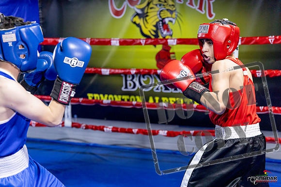 Cougar Boxing Basement Brawl. Dec 6 2025 -0701