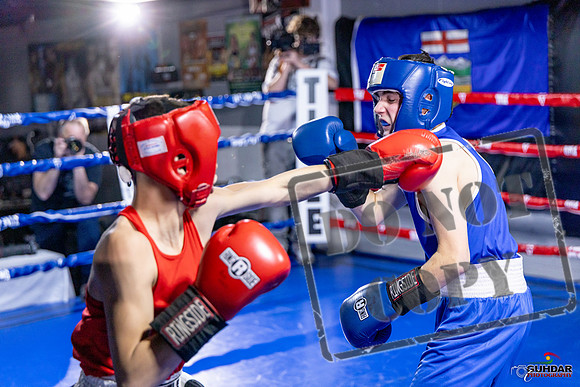 Cougar Boxing Basement Brawl. Dec 6 2025 -0712