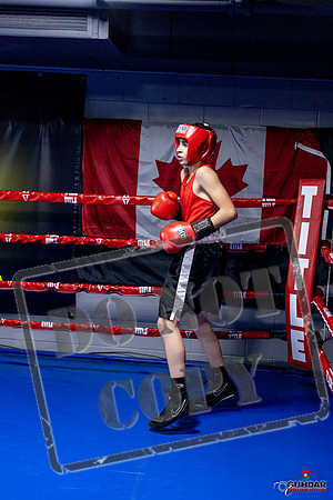 Cougar Boxing Basement Brawl. Dec 6 2025 -0720