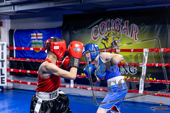 Cougar Boxing Basement Brawl. Dec 6 2025 -0719