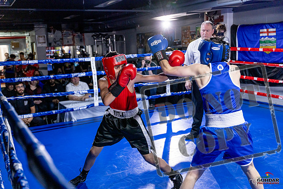 Cougar Boxing Basement Brawl. Dec 6 2025 -0726