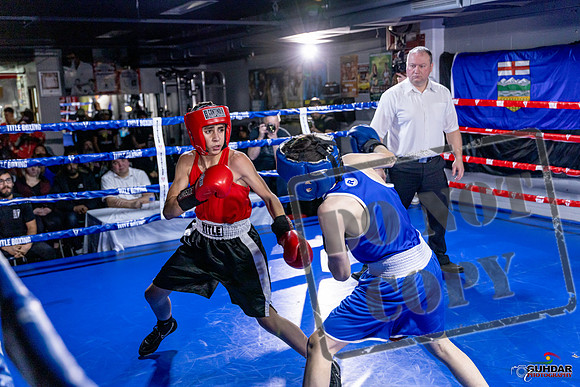 Cougar Boxing Basement Brawl. Dec 6 2025 -0728