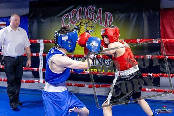 Cougar Boxing Basement Brawl. Dec 6 2025 -0732