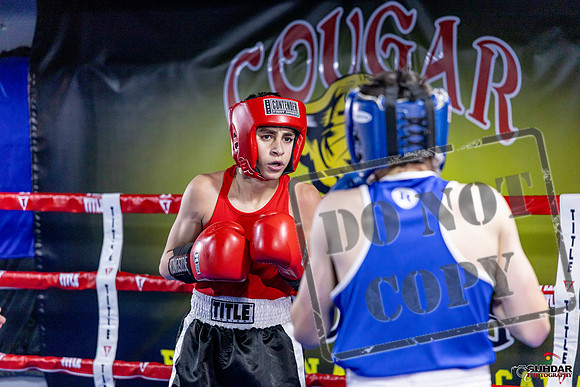 Cougar Boxing Basement Brawl. Dec 6 2025 -0733