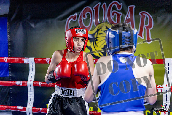 Cougar Boxing Basement Brawl. Dec 6 2025 -0734