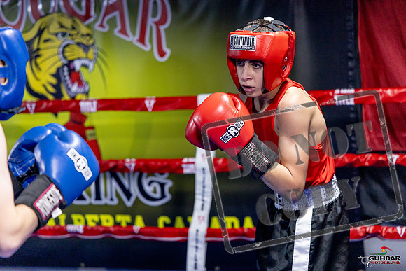 Cougar Boxing Basement Brawl. Dec 6 2025 -0736