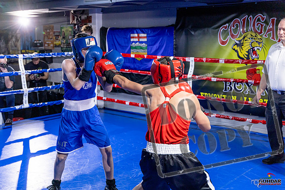 Cougar Boxing Basement Brawl. Dec 6 2025 -0744