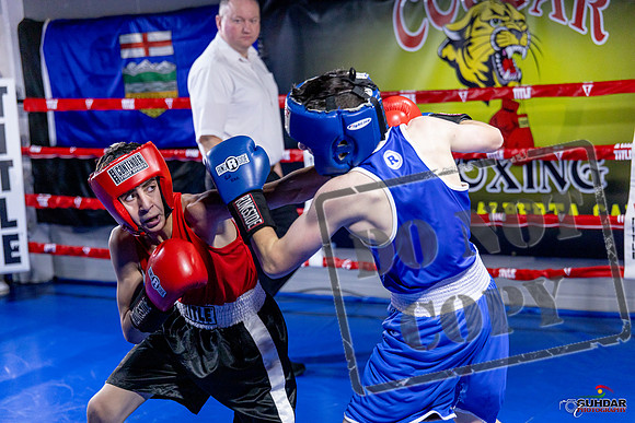 Cougar Boxing Basement Brawl. Dec 6 2025 -0757