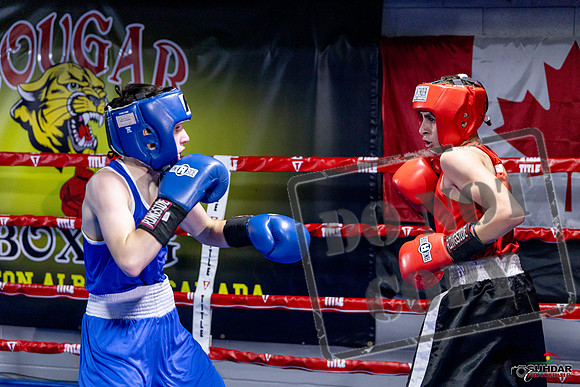 Cougar Boxing Basement Brawl. Dec 6 2025 -0761