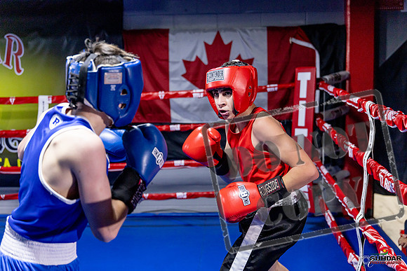 Cougar Boxing Basement Brawl. Dec 6 2025 -0763