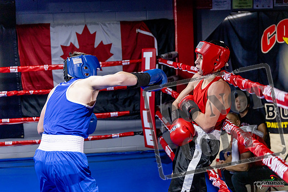 Cougar Boxing Basement Brawl. Dec 6 2025 -0764