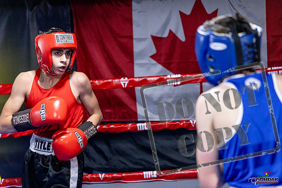 Cougar Boxing Basement Brawl. Dec 6 2025 -0765