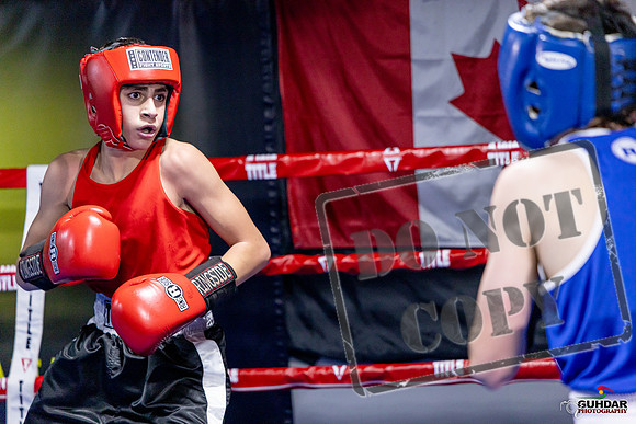 Cougar Boxing Basement Brawl. Dec 6 2025 -0766