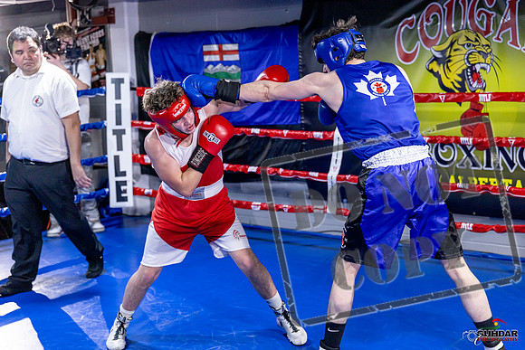 Cougar Boxing Basement Brawl. Dec 6 2025 -0838