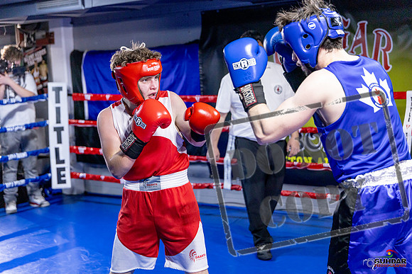 Cougar Boxing Basement Brawl. Dec 6 2025 -0851