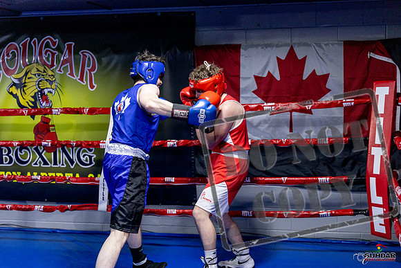 Cougar Boxing Basement Brawl. Dec 6 2025 -0856