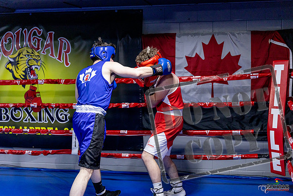 Cougar Boxing Basement Brawl. Dec 6 2025 -0857