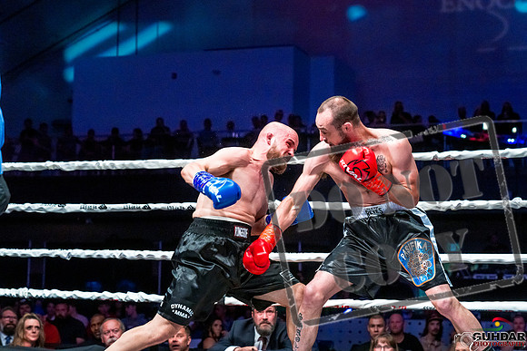 Unified Boxing -0583