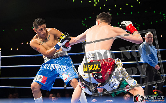 KO BOXING 84 Dec 14 2018_0654