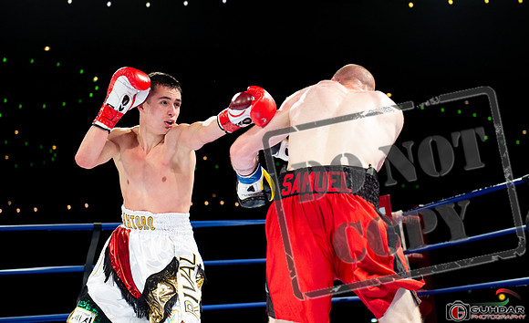 KO BOXING 82_00542