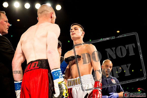KO BOXING 82_00491