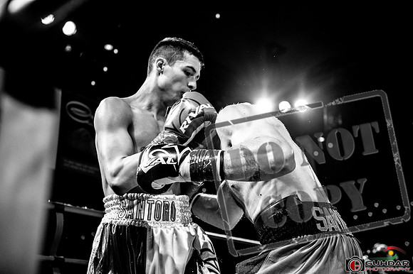 KO BOXING 82_00527