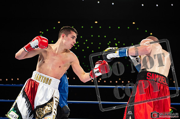 KO BOXING 82_00536