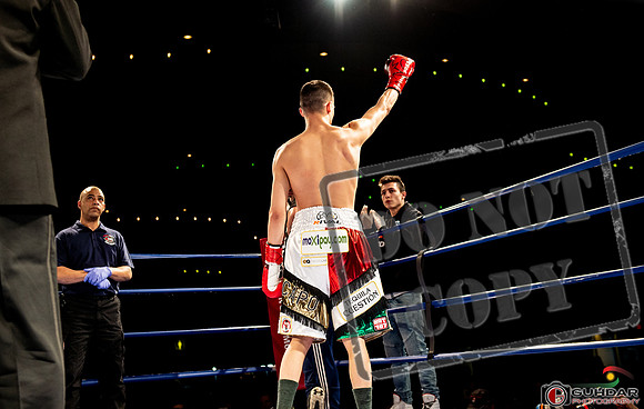 KO BOXING 82_00488