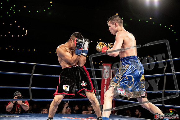 KO BOXING MAR 8 2019_0082