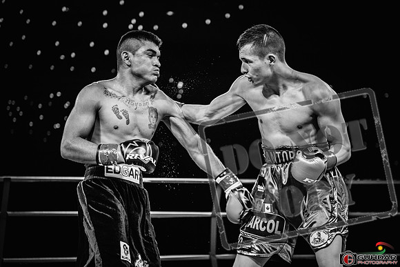 KO BOXING MAR 8 2019_0176