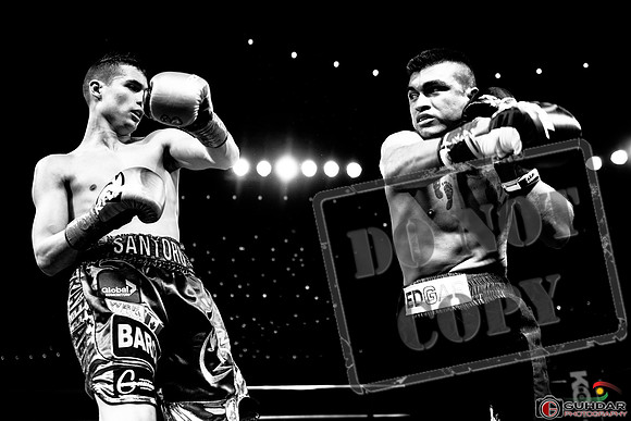 KO BOXING MAR 8 2019_0225