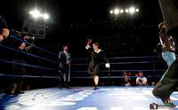 KO BOXING 82_01383