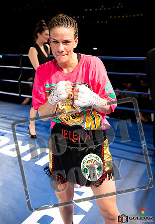 KO BOXING 82_01799