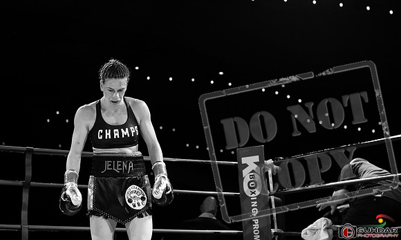 KO BOXING 82_01681
