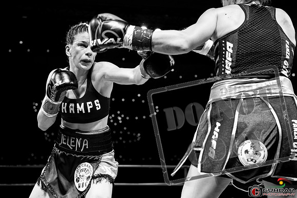 KO BOXING 82_01523