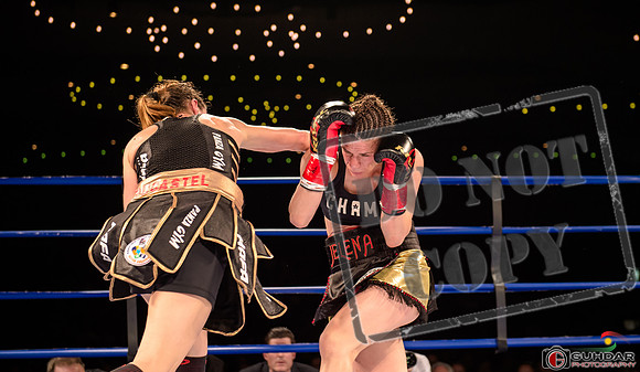 KO BOXING 82_01529