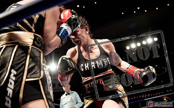 KO BOXING 82_01689