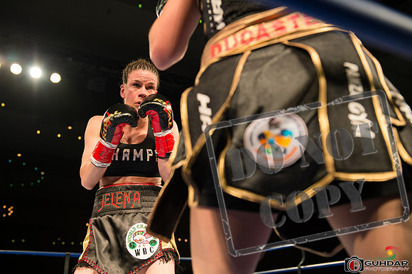 KO BOXING 82_01485
