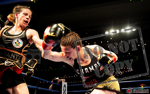 KO BOXING 82_01546
