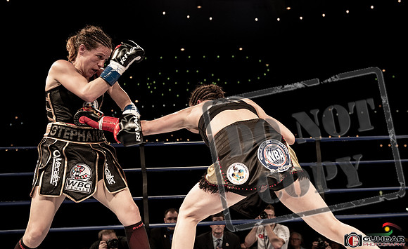 KO BOXING 82_01596
