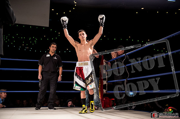 KO BOXING 81-39