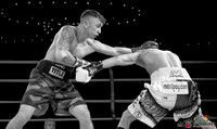 KO BOXING 81-43