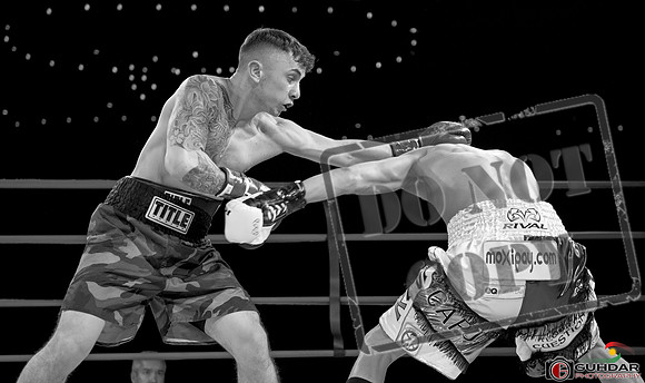 KO BOXING 81-43