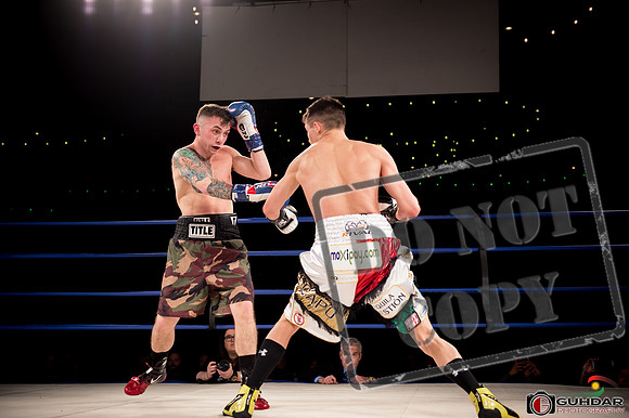 KO BOXING 81-51