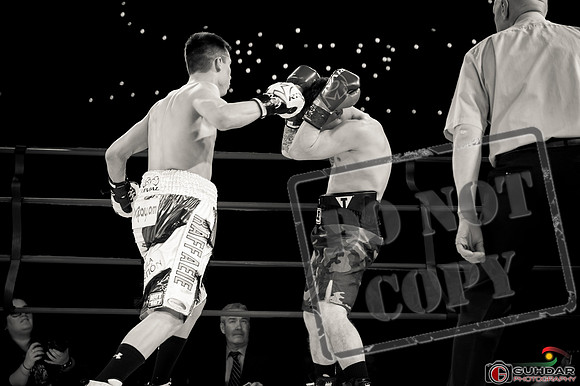 KO BOXING 81-62