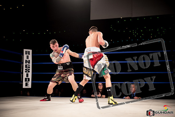KO BOXING 81-52