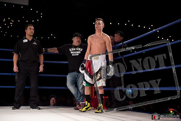 KO BOXING 81-36