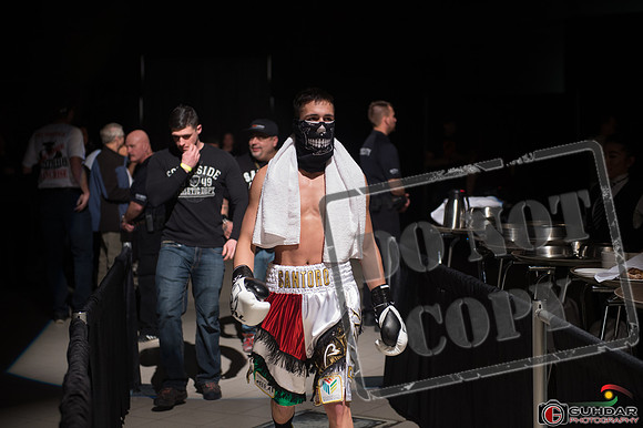 KO BOXING 81-33