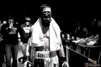 KO BOXING 81-34
